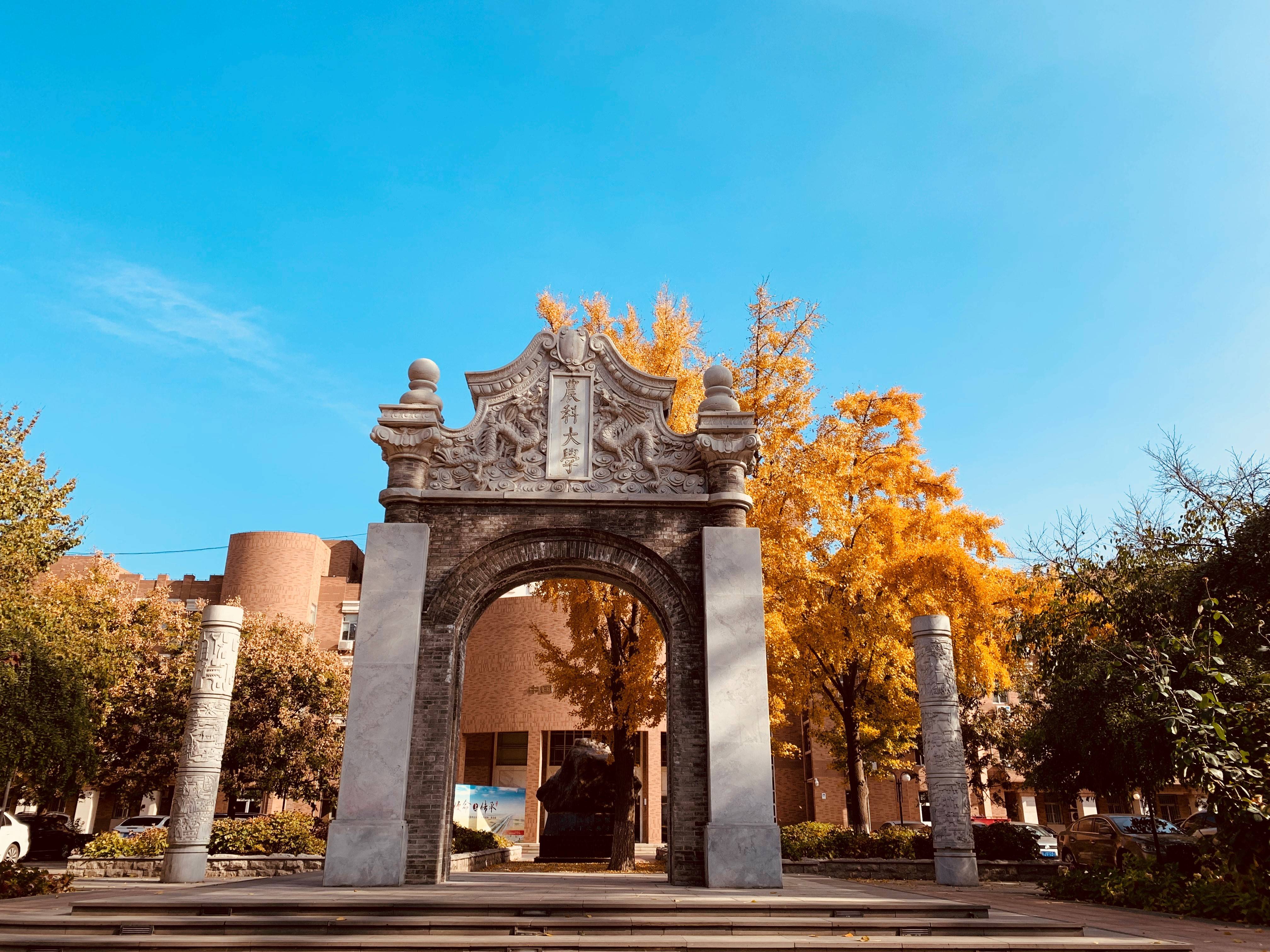 China Agricultural University